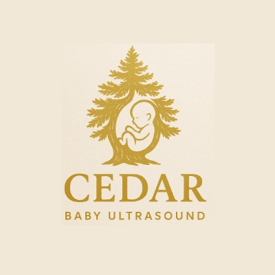 cedar4dultrasound