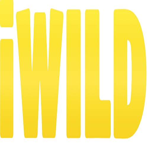 Iwild Casino