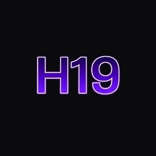 H19
