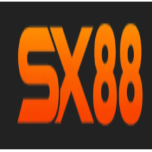 SX88 Art