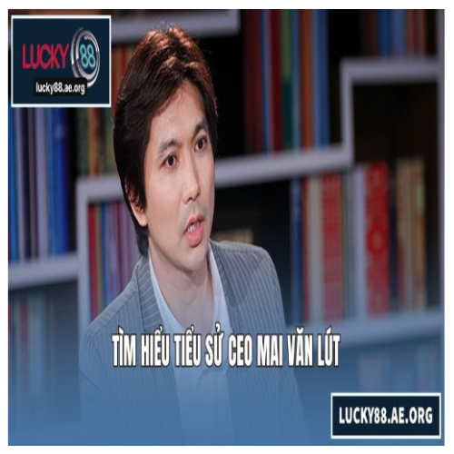 CEO Mai Văn Lút