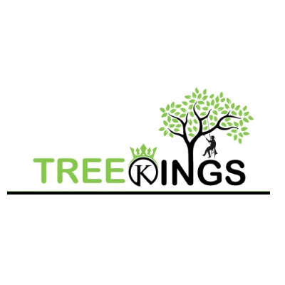 Tree Kings
