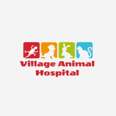 Village Animal Hospital