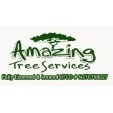 Amazing Tree Services