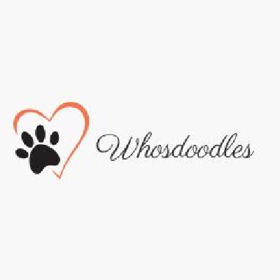 Whos Doodles