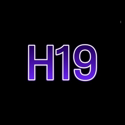 Nhà cái H19
