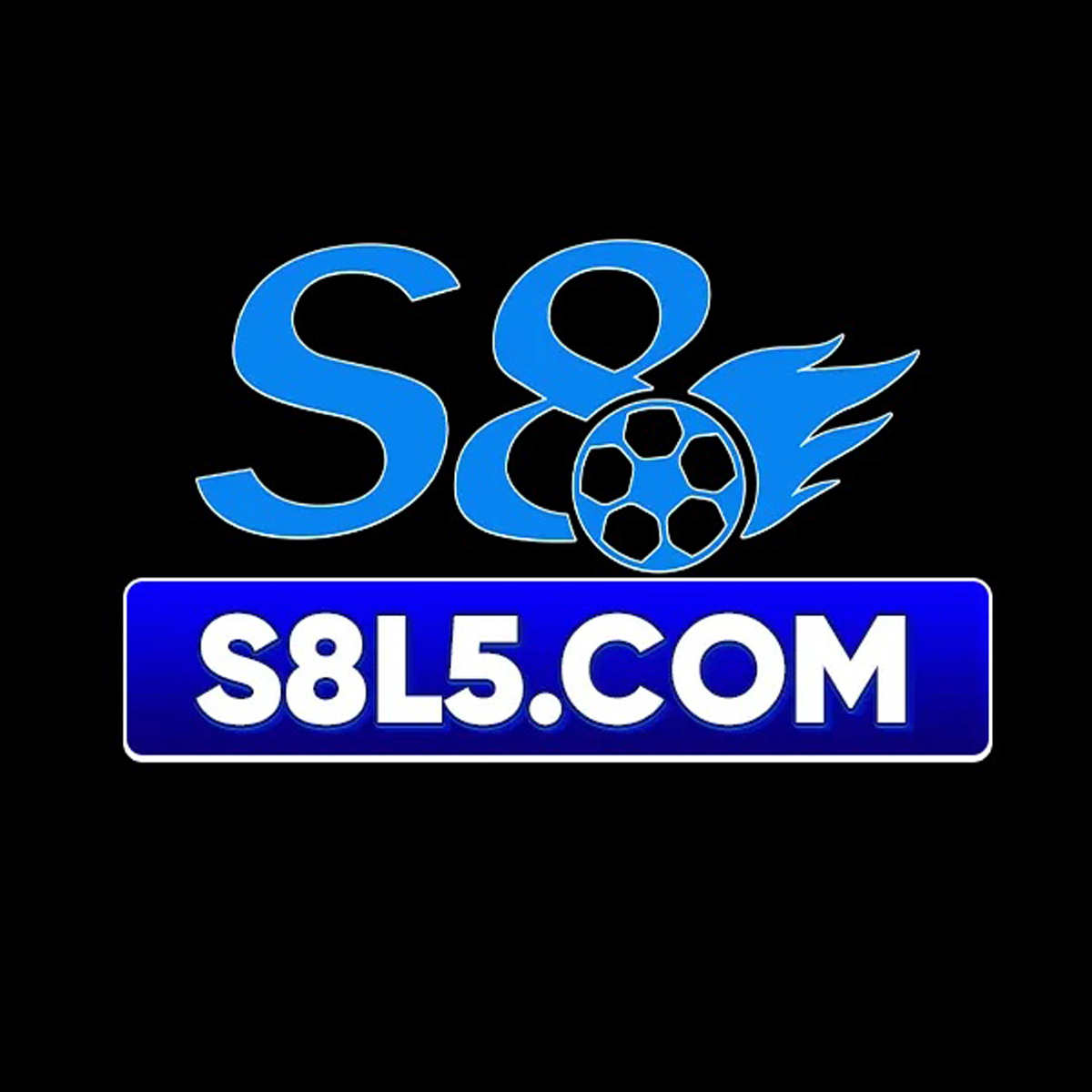 S8