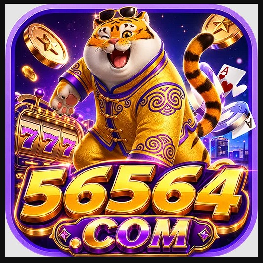 56564