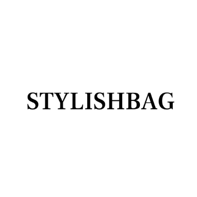 stylish bag
