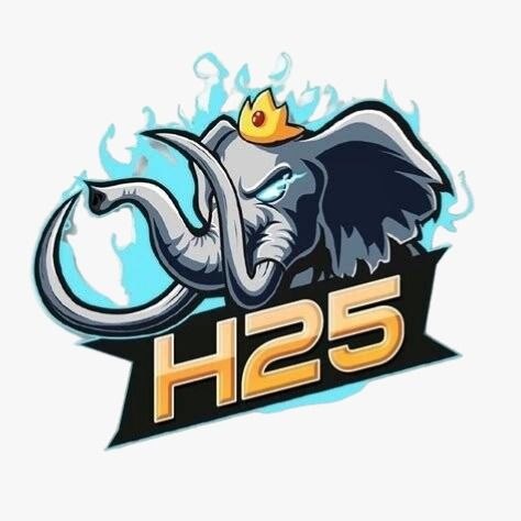 h25