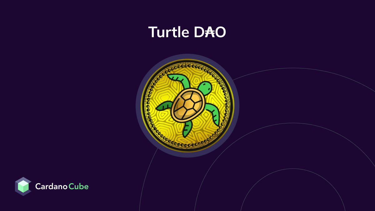 TurtleDAO (DAO) on the Cardano Blockchain | Prices, Charts, Teams & Ratings