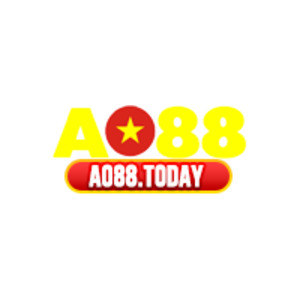 AO 88