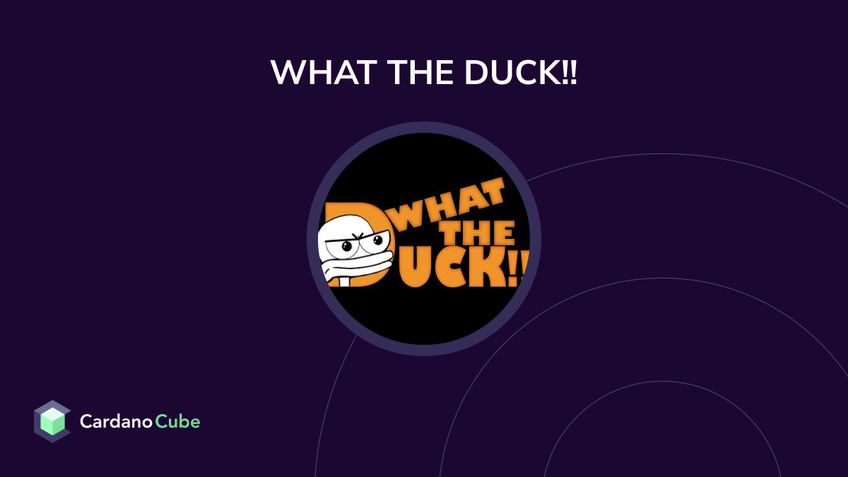 WHAT THE DUCK ($RICH) ($RICH) on the Cardano Blockchain | Prices ...