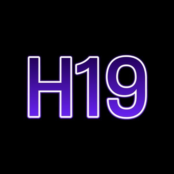 H19