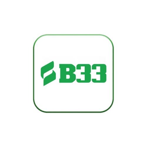B33