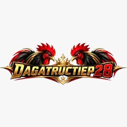 dagatructiep28