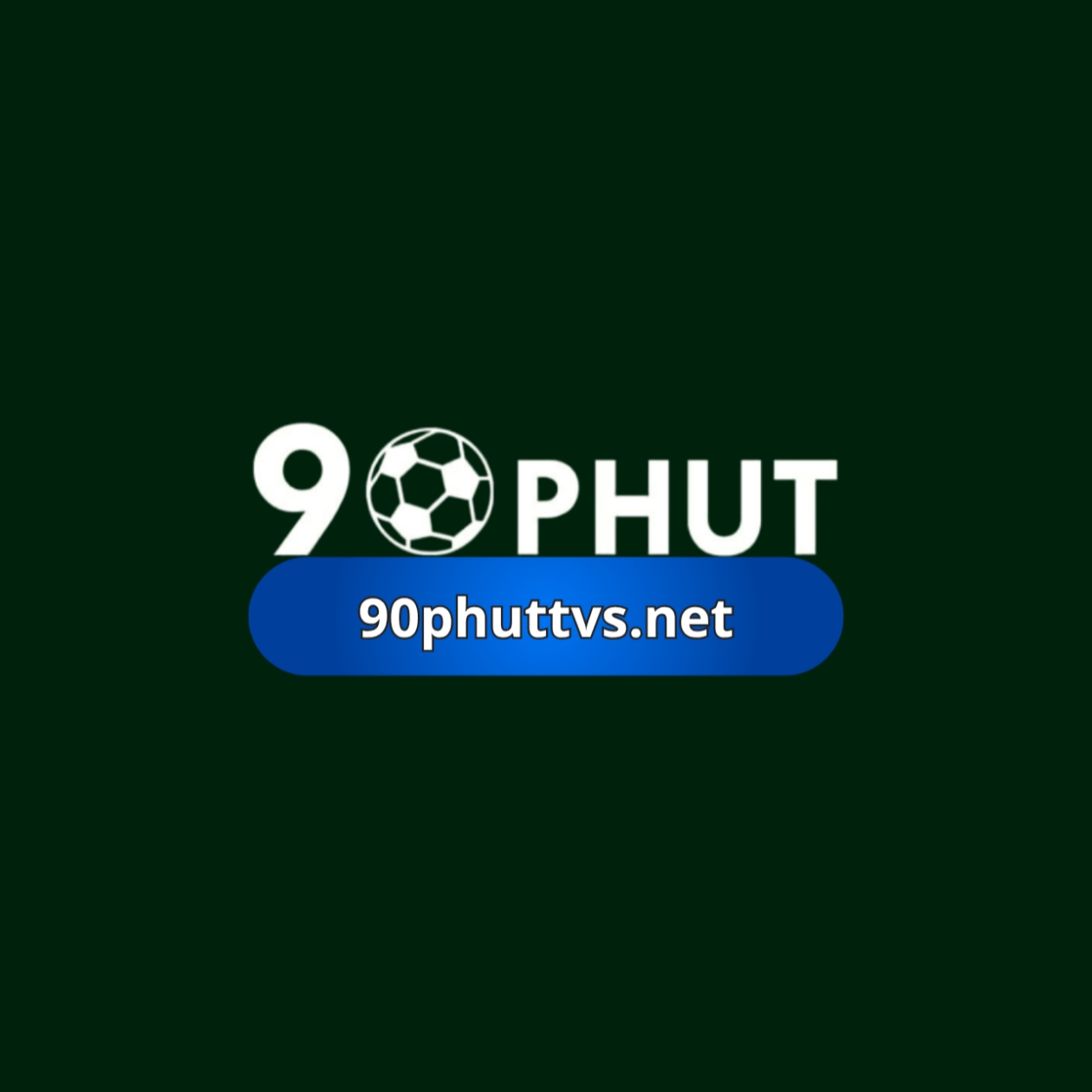 90Phuttvsnet