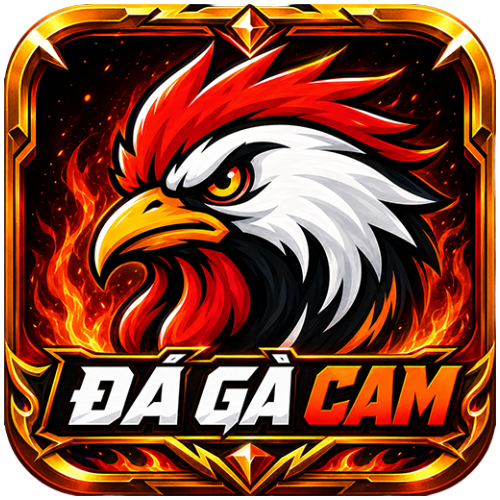 ĐÁ GÀ CAM